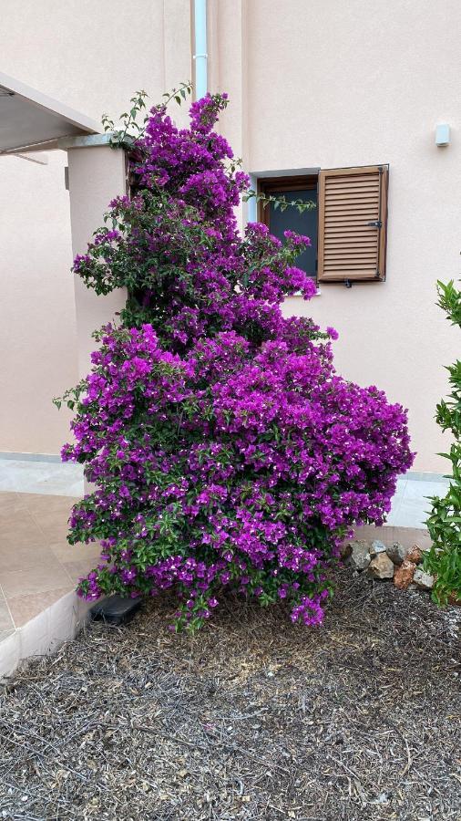 Villa Lp Kokkino Chorio Екстериор снимка